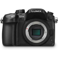 USAGE (7) - Panasonic Lumix GH4 + 45-200mm