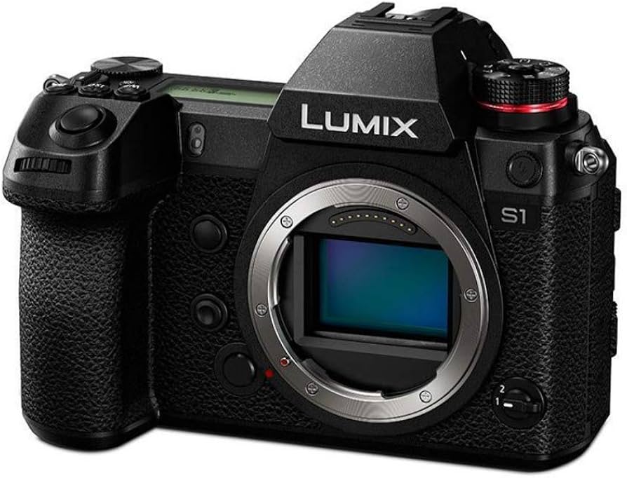 USED (8) - Panasonic Lumix S1