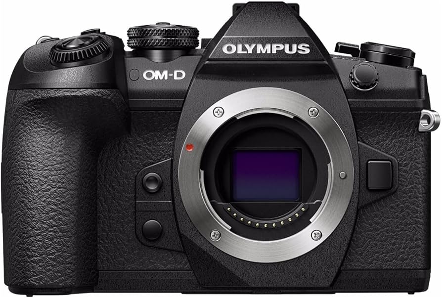 USAGE (8) - Olympus OM-D E-M1 Mark II