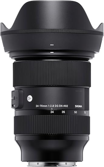 USAGE (8) - Sigma 24-70mm f/2.8 DG DN pour monture L
