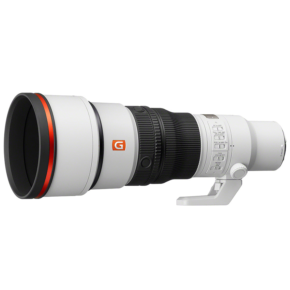 FE 600mm f/6.3 GM OSS Lens