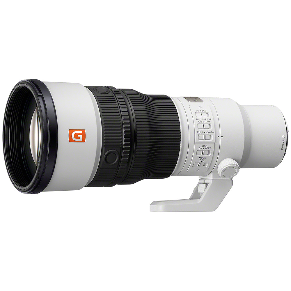 FE 600mm f/6.3 GM OSS Lens