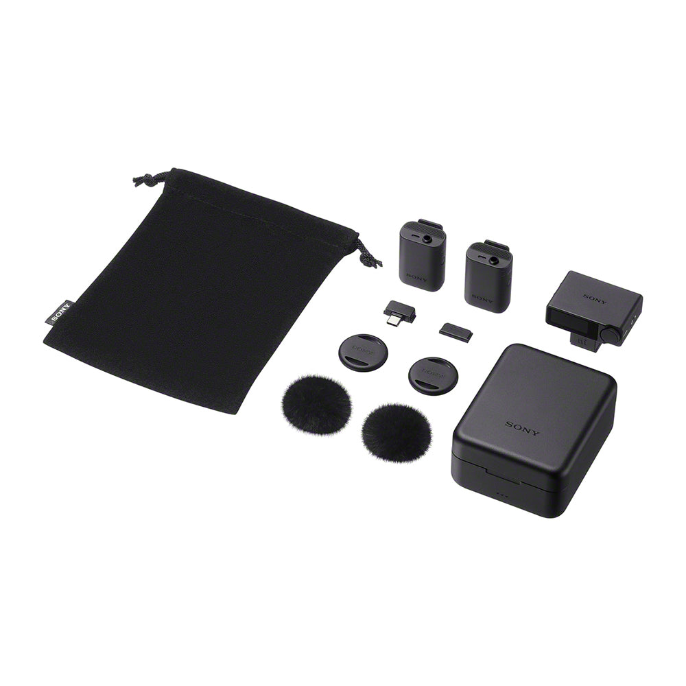 ECM-W5 Wireless Microphone