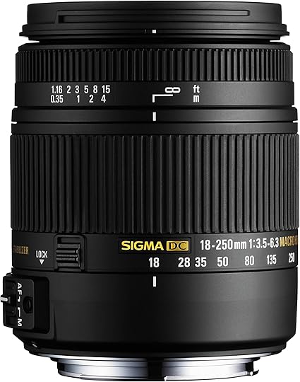 USAGE - SIGMA 18-250MM F3.5-6.3 PENTAX (8)