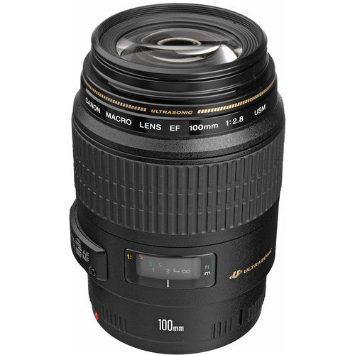 USAGE (8) - Canon EF 100mm f/2.8 L IS Macro