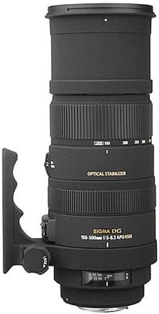 USAGE (8) - Sigma 150-600mm f/5-6.3 DG APO HSM NIKON F