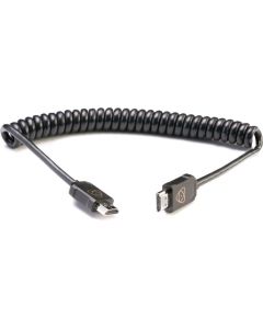 CABLE XLR 10'  Gosselin Photo Video