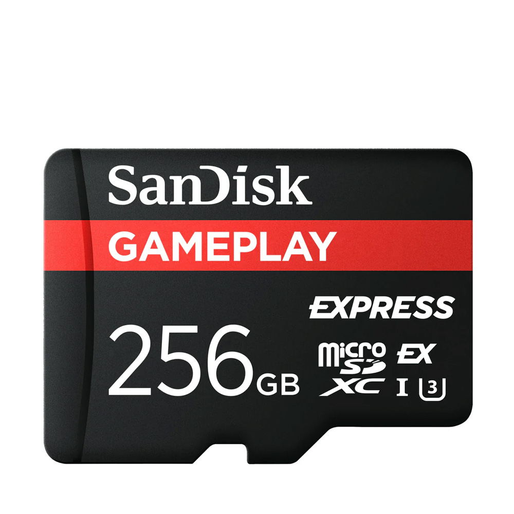 その他 SanDisk microSD Express Card 256GB for SanDisk 256GB microSD Express Card - Ultra-Fast Nintendo Switch